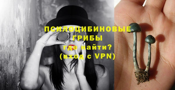 apvp Алзамай