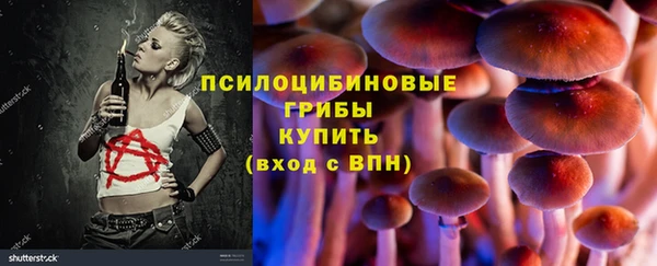 apvp Алзамай