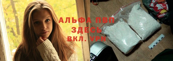 apvp Алзамай